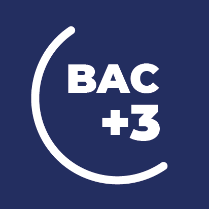 bac +3
